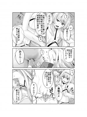 [聖華快楽書店 (エルトリア,軍艦あまえび,千歳トロ)] 支配の淫紋 ―おっさん店主に淫紋を植え付けられて身も心も征服される姫騎士物語―_12