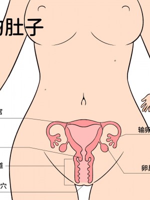 [よい子ブックス (66b)] わたしたちのからだ〜こどもができるしくみ〜 第2版 [安提洛普个人汉化]_014