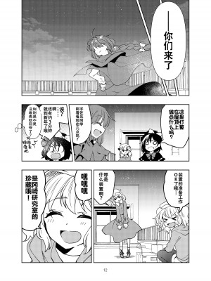 [型K式 (カタケイ)] 岡崎研究室の年越し事情 (東方Project) [白杨汉化组] [DL版]_12