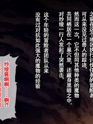 [ろくまる荘 (さんろく丸)] 魔物の贄2 ～異種の仔を孕んだ冒険者達～[中国翻訳]_033