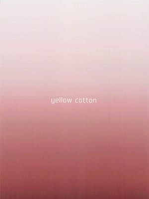 [yellowcotton] 佐倉家は壊れました。 (MAJOR)_28