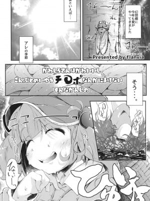 (C98) [自家発電処 (flanvia)] 総集編 (東方Project)_032