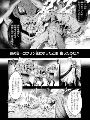 [H9] ゴブリン王国に堕ちた女戦士_090