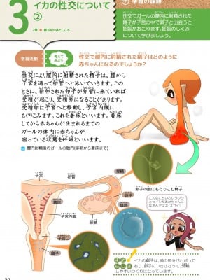 [イカのお尻愛好家 (つかだ)] 新編 新しいイカの保健 (スプラトゥーン) [DL版]_09