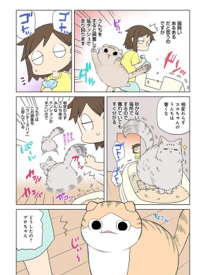 COMIC アナンガ・ランガ Vol.88_246