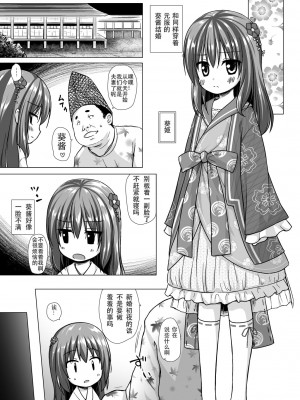 (コミティア118) [ノラネコノタマ (雪野みなと)] 光の君のさがなき計画 ＜葵＞ [zard重嵌,嗶咔嗶咔漢化組] [無修正]_08