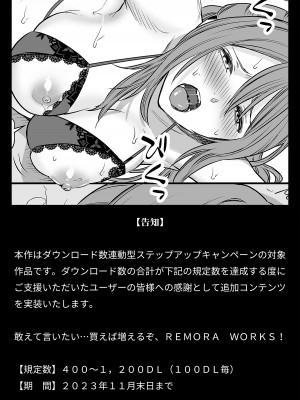 [Remora Works (めりこ)] LESFES CO -CANDID REPORTING- VOL.003_31