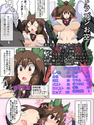 [全数破壊検査 (ぶらっく)] お空ちゃん攻略ガイドブック_11