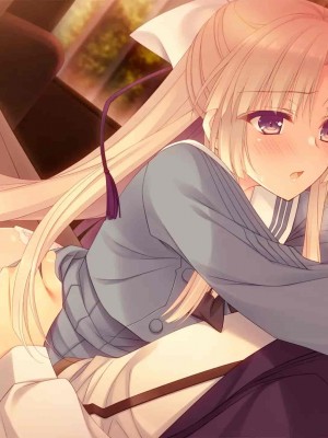 [Citrus]黄昏のフォルクローレ_202_sup30gl