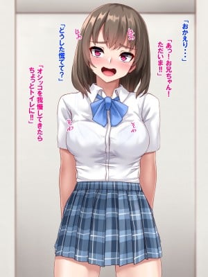 [あっぱーきゃんでぃー (シノブ)]  スケベなJK妹と禁断の生ハメプレイ♪_219