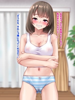 [あっぱーきゃんでぃー (シノブ)]  スケベなJK妹と禁断の生ハメプレイ♪_253