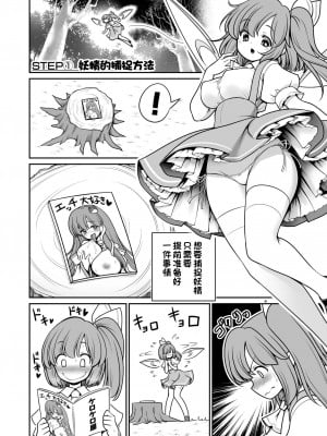 [世捨人な漫画描き (ともきとものり)] 妖精ペットと楽しい新生活 (東方Project) [一只麻利的鸽子汉化x甜族星人出资] [DL版]_04