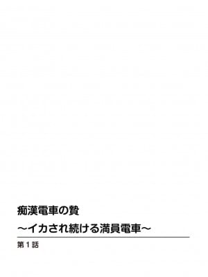 [りっか光C] 痴漢電車の贄～イカされ続ける満員電車～【豪華版】_003