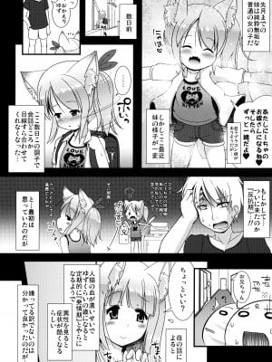 (C90) [きゃっといいえっくす (猫兎)] ねこぷにっ！vol.12_05