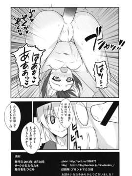 (C85) (同人誌) [ひなた水 (ひなみ)] 誰も私を見ていない (東方Project)_IMG_0014