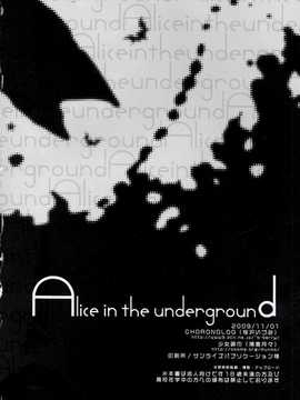 [脸肿汉化组][CHRONOLOG (桜沢いづみ)] Alice in the underground (ソウルイーター)_040