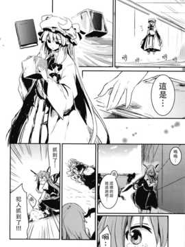 [无毒汉化组](例大祭11) [しぐれえび (レフトハンド)] その日星は生まれて (東方Project)__12