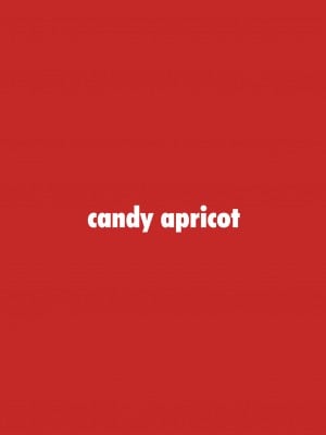 [candy apricot (ました)] 妊法！女装猫耳メイド無限種付けの術！！ [瑞树汉化组] [DL版]_23