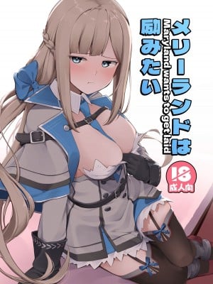 [お肉が食べたい午前二時 (べふ)] メリーランドは励みたい (艦隊これくしょん -艦これ-) [DL版]