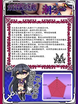 [あつがり義勇軍 (みりしゃ)] 悪堕艦娘名鑑弐 2／3 (艦隊これくしょん -艦これ-) [中国翻訳]_11