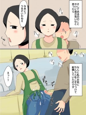 [ねごろ屋] 母子相姦 んもう!しょうがない子ね・・・_07