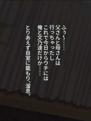 [ラミノネイリス] 俺のことが大好きすぎるJK・J○の妹3人が毎日エロ衣装でお兄ちゃんの赤ちゃんが欲しいと種付けを迫ってくる件_033_012