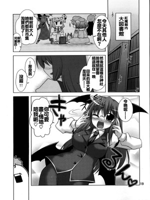 [oo君個人漢化] (例大祭8) [CUNICULUS (ヨシタマ)] 名も無き愛の唄 大妖精・小悪魔編 (東方Project)_18