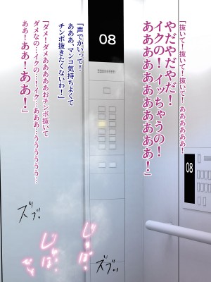 伯母に焦がれて13 「追いかけられて、姦されて… 淫乱爆発エレベーター!」シーズン3_0249