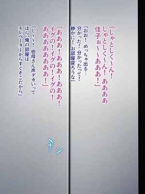 伯母に焦がれて13 「追いかけられて、姦されて… 淫乱爆発エレベーター!」シーズン3_0336