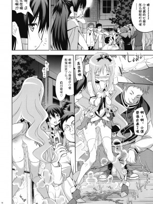 [Btboy12个人汉化] (COMIC1☆4) [方円軒 (稲瀬信也)] Melt Flower (ハートキャッチプリキュア！)_15