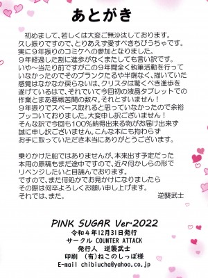 (C101) [COUNTER ATTACK (逆襲武士)] PINK SUGAR Ver.2022 (セーラームーン)_14