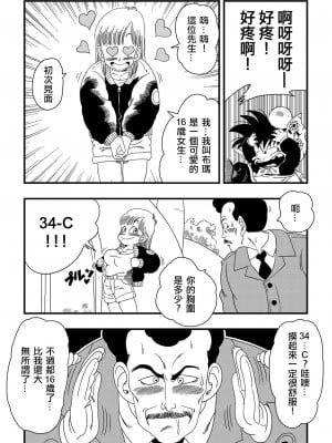 [山本同人] またウー○ンはブルマを騙しちゃう？ (ドラゴンボール) [無修大濕] [無修正]_03