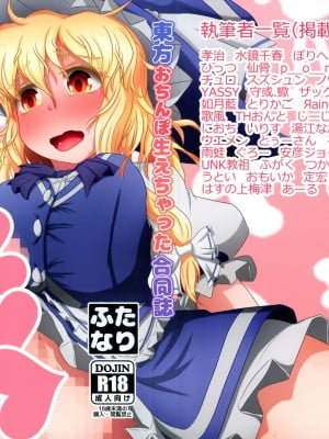 (紅楼夢18) [ぬいぐるみやさん (よろず)] 東方おちんぽ生えちゃった合同誌 (東方Project)