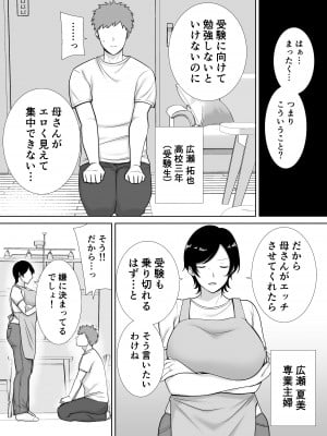 [母印堂 (シベリアン母スキー)] 母さんだって女なんだよ! [Don't Trust and Support Irodori Comics !]_004