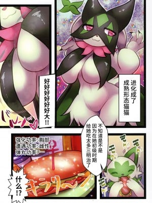 (新春けもケット9) [ベルフェゴールの39 (くまや)] ズリニャ_ニャ (ポケットモンスター) [悬赏大厅×真不可视汉化组]_03