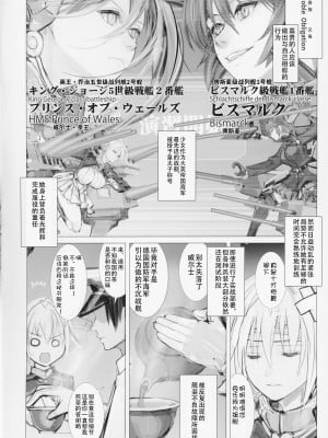 (C95) [生々シャンディガフ (nf4)] 宣約艦のオシゴトR ZERO (戦艦少女R) [潇洒个人汉化]_03