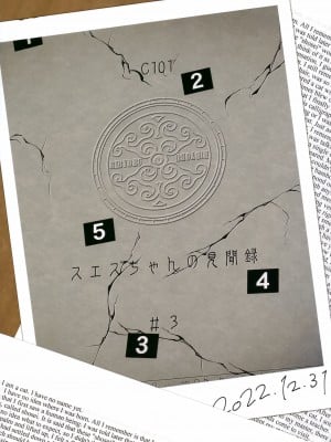 (C101) [リビョウブ (大馬陸)] スエズちゃんの見聞録～日本発情陸!!褐色エジプトロリ来たる編～_19