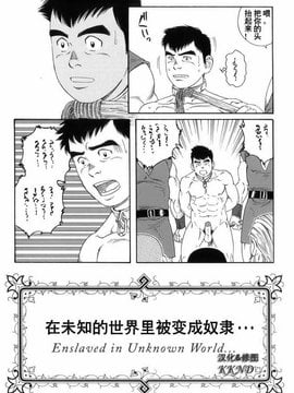 [田龜源五郎] 見知らぬ土地で奴隷にされて... [Chinese] [KKND汉化]_0002