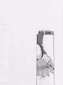 [wl00314824個人漢化] (サンクリ35) [Girls...Now (江戸屋ぽち)] RED ZONE 3 (Fate_stay night)_0003