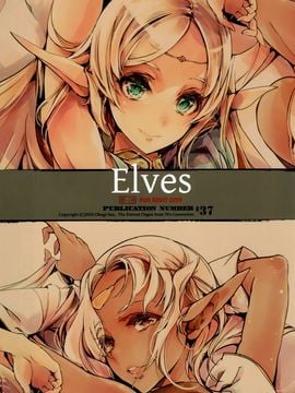 [脸肿汉化组] (C88) [70年式悠久機関 (おはぎさん)] elves (ロードス島戦記)_img003