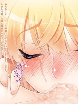 [同人 CG][haidara]エルフ母娘はふたなりのおもちゃ_085_12_02