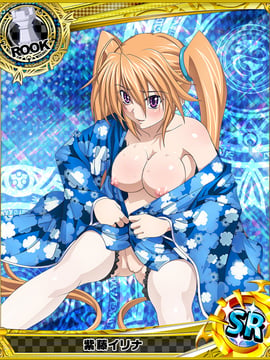 Highschool DxD Mobage Cards (18+)_35