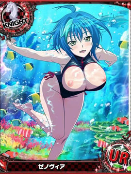 Highschool DxD Mobage Cards (18+)_11