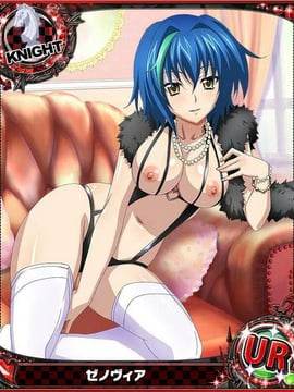 Highschool DxD Mobage Cards (18+)_07 (3)