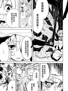 (例大祭9) [水銀革命] 盛夏的幻想鄉里下起了雪(東方Project)[喵玉汉化]_08