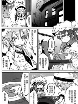 (例大祭10) [乃屋 (ノヤマコト)] ウチの妹がブラしててれみりあうー (東方Project)[空空+天子漢化]_028_