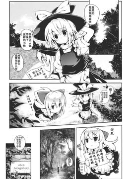 (例大祭9) [石切場 (両神了)] かんたんマイパペット (東方Project)[不人气汉化组]_004