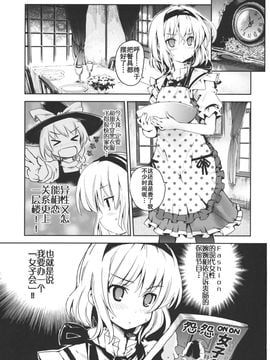 (例大祭9) [石切場 (両神了)] かんたんマイパペット (東方Project)[不人气汉化组]_003