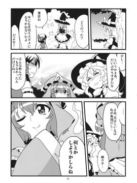 (C87) [デッドラインブレイカー (ミヤジ)] ワカドリトカラアゲ (東方Project)_JhgJAQ_021