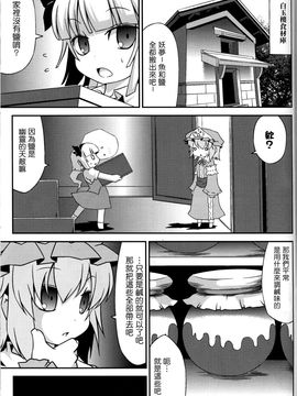 (C78) [乃屋 (ノヤマコト)] 東方塩不足 (東方Project)[空空+天子漢化]_13